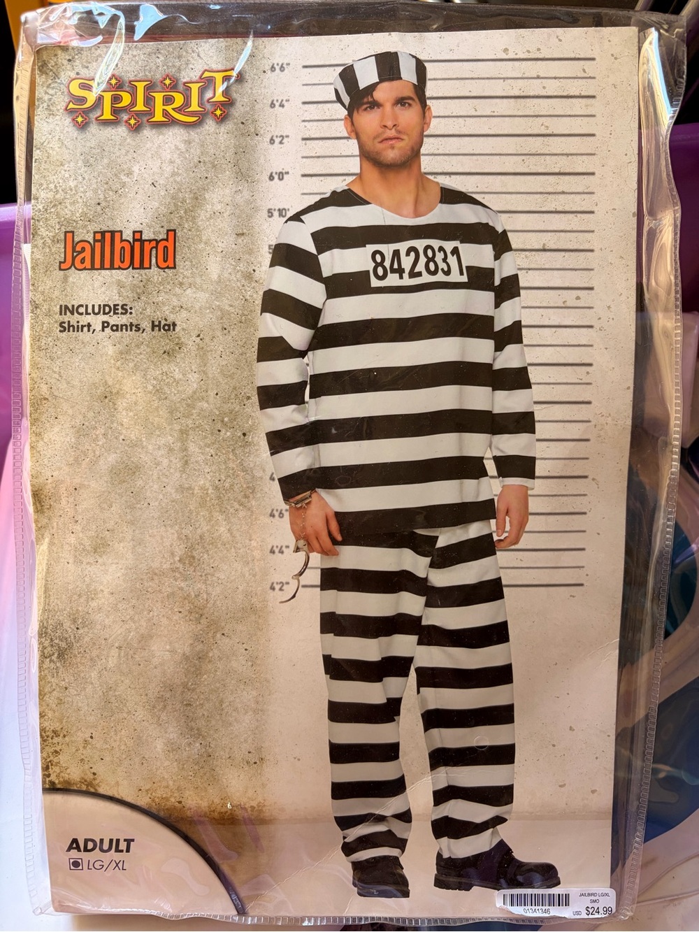 Spirit Black and White Striped Jailbird Pajama Set